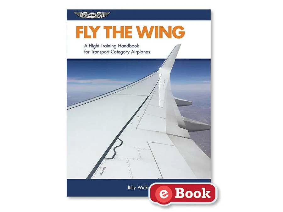 ASA - Fly The Wing | ASA-FLY-WING4