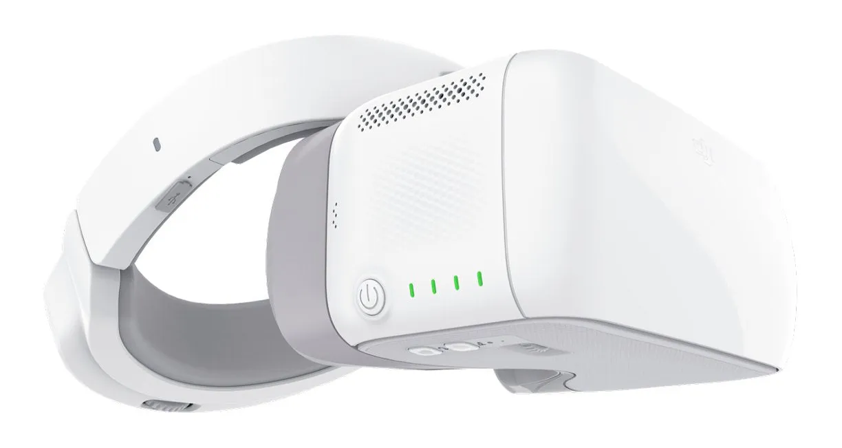 DJI Goggles