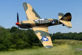 Rage R/C Curtiss P-40 Warhawk Micro RTF Airplane w/PASS RGRA1305